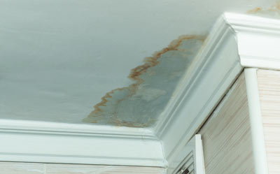 water damage on ceiling with discoloration and peeling paint showing potential for mold growth in a home