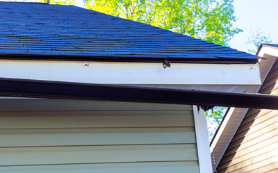 roof corner with shingles and gutter detail showing home maintenance factors for five roof types