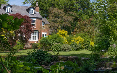 a picturesque house surrounded by vibrant greenery and garden plants showcasing a blend of colorful flowers and lush foliage in a serene setting ideal for relaxation and nature lovers