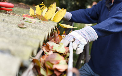 person cleaning leaves from a rain gutter wearing gloves maintaining home with 8 tips for fall cleaning